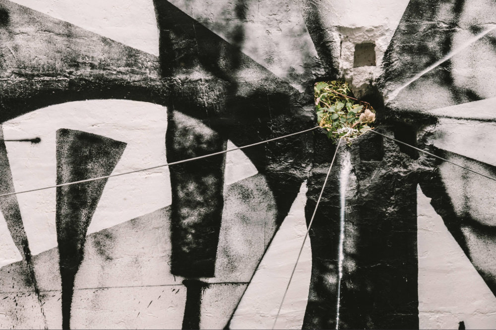 transgression 25 40
