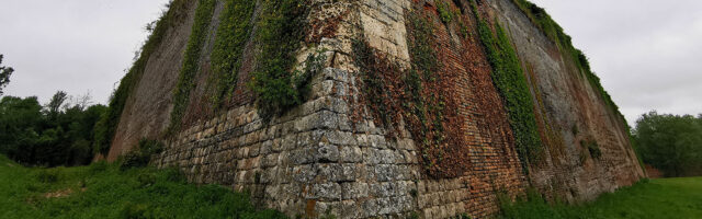 header bg 1