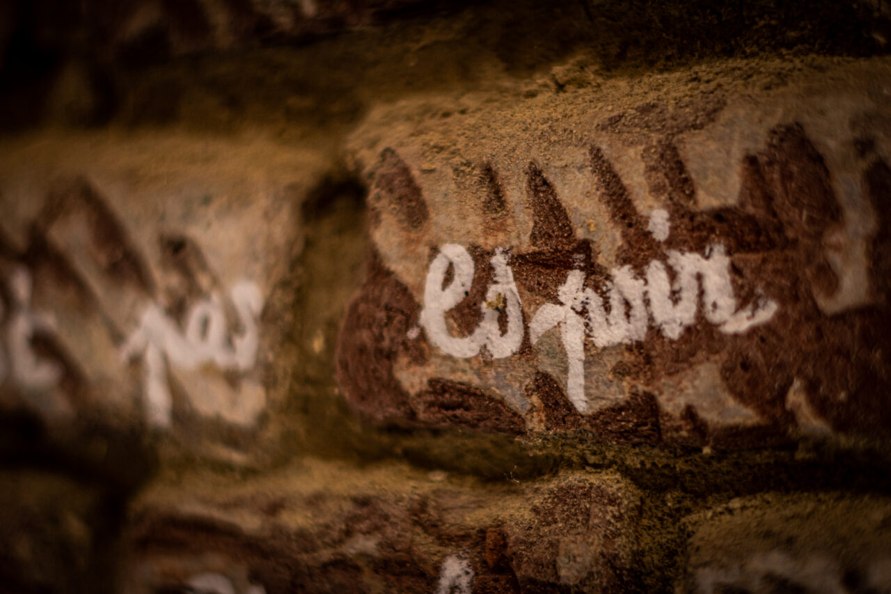 transgression 24 112